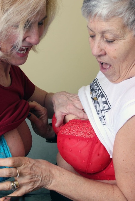 le maître met un collier à la femme hd sympa images